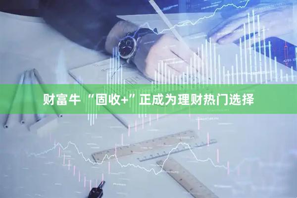 财富牛 “固收+”正成为理财热门选择
