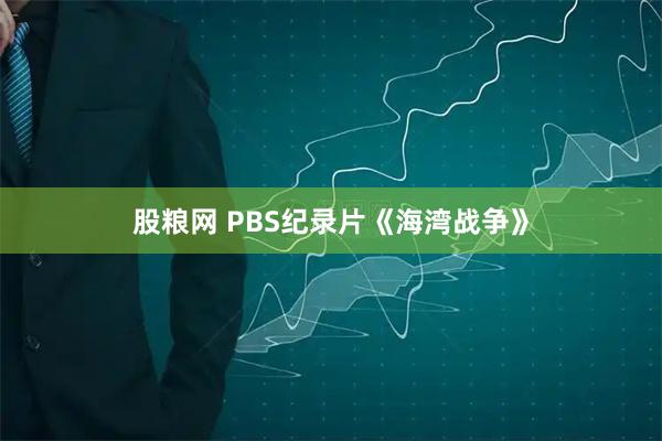 股粮网 PBS纪录片《海湾战争》