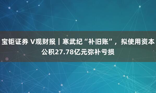 宝钜证券 V观财报｜寒武纪“补旧账”，拟使用资本公积27.78亿元弥补亏损