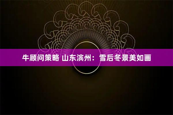 牛顾问策略 山东滨州：雪后冬景美如画